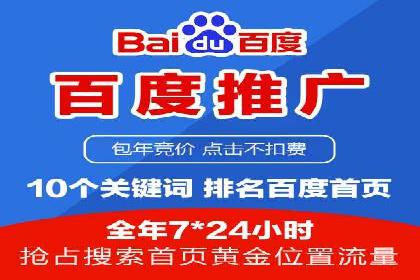 百度SEM推广策略：成功案例解析